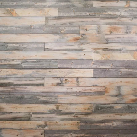 1x8x12' #122 Nickel Gap Ponderosa Blue Pine Rare & Beautiful Siding