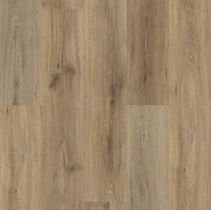 Shaw Endura Plus Wild Dunes