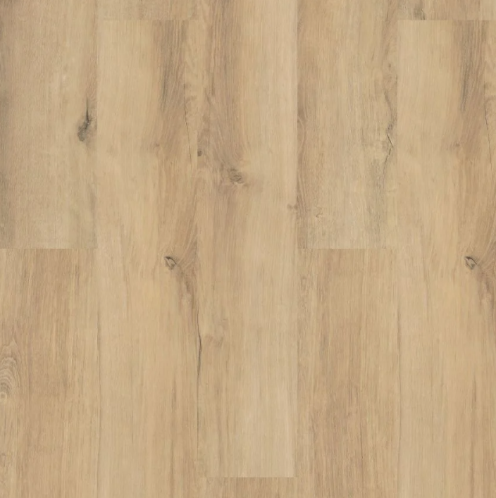 Shaw Endura Plus Marina