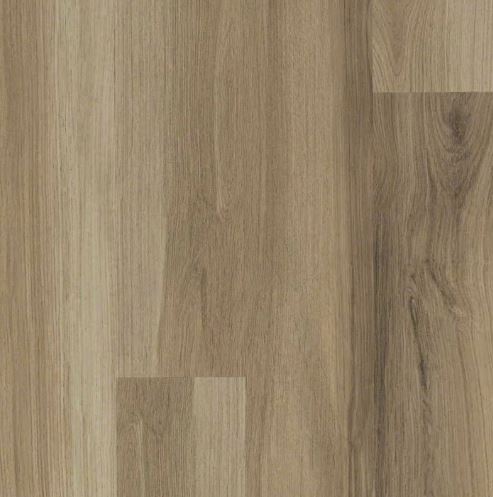 Shaw Endura Plus Almond Oak